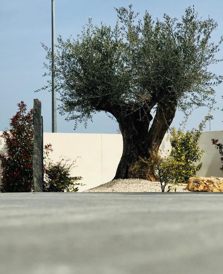 L'Oasis Vendargues Bed & Breakfast Exterior foto