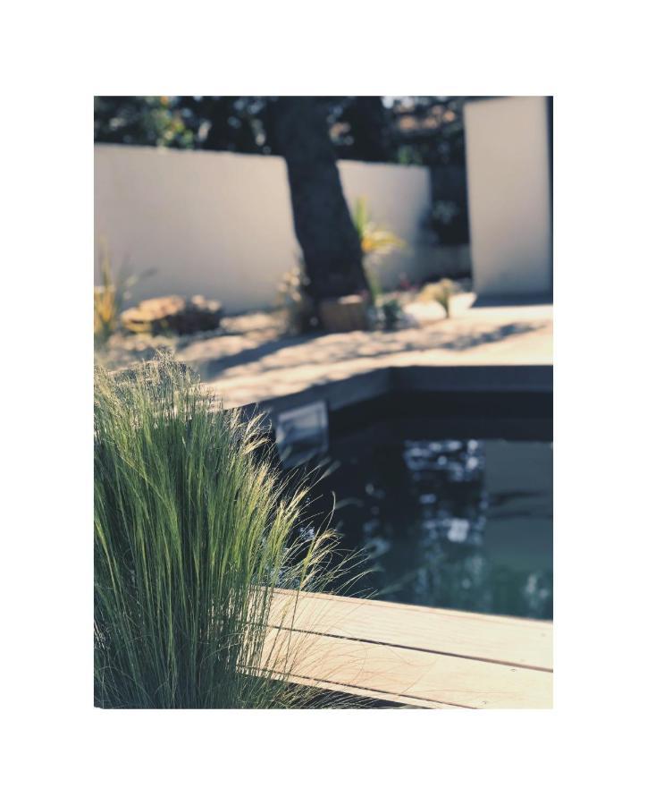L'Oasis Vendargues Bed & Breakfast Exterior foto