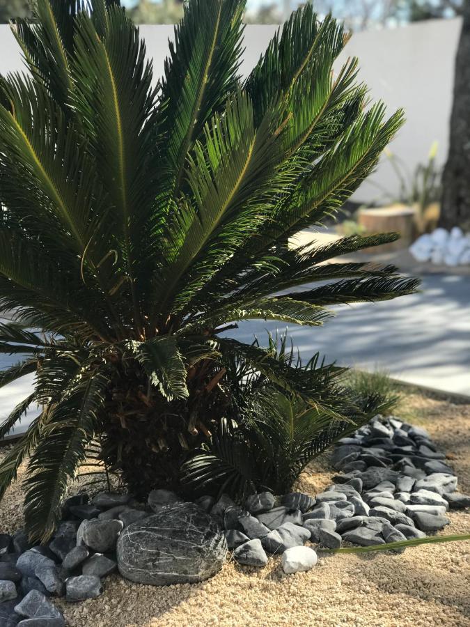 L'Oasis Vendargues Bed & Breakfast Exterior foto