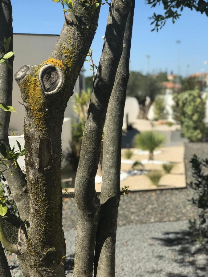 L'Oasis Vendargues Bed & Breakfast Exterior foto